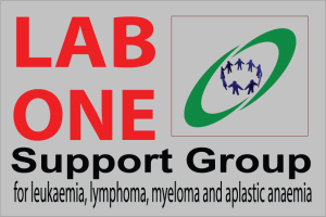 Lab-One-Support-Group-2